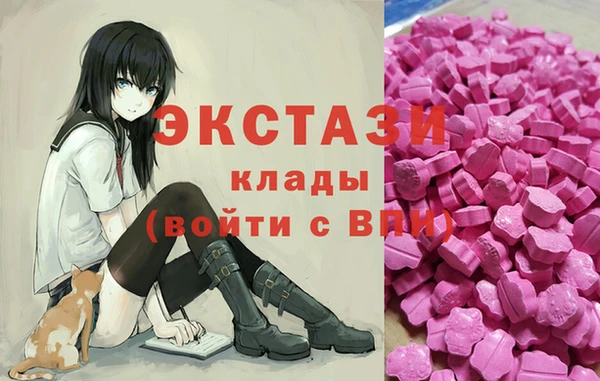 ECSTASY Лагань