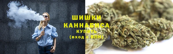 ECSTASY Лагань