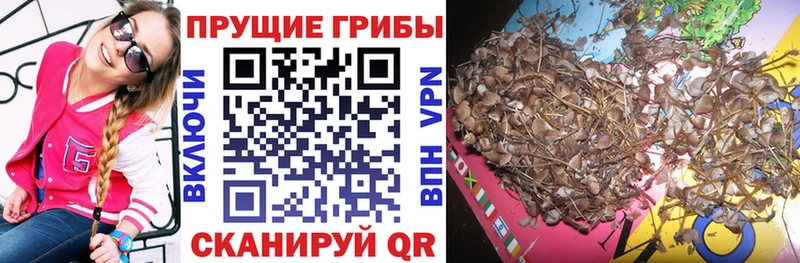 Псилоцибиновые грибы Magic Shrooms Мелеуз